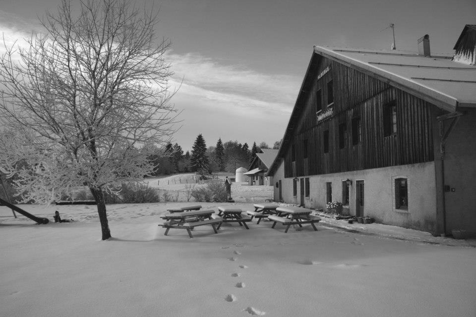 Auberge De La Perdrix Hauterive-la-Fresse Екстер'єр фото